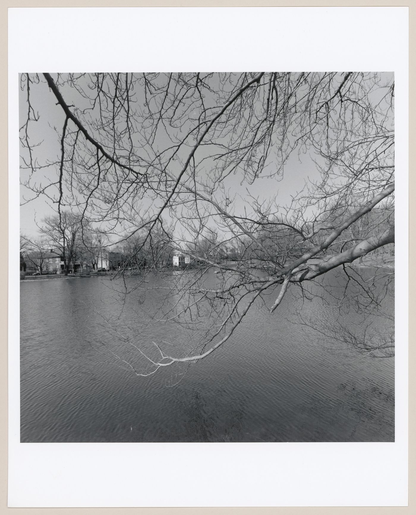 Polly Pond, Andrew Jackson Memorial Park, Newburg, New York