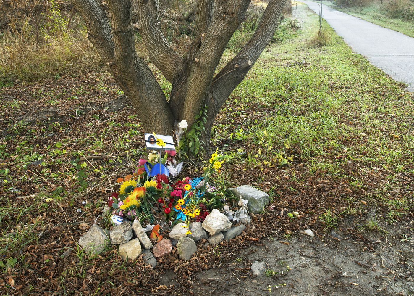 An Enduring Wilderness: Memorial for Jason Singh, Lower Don Parklands, Toronto