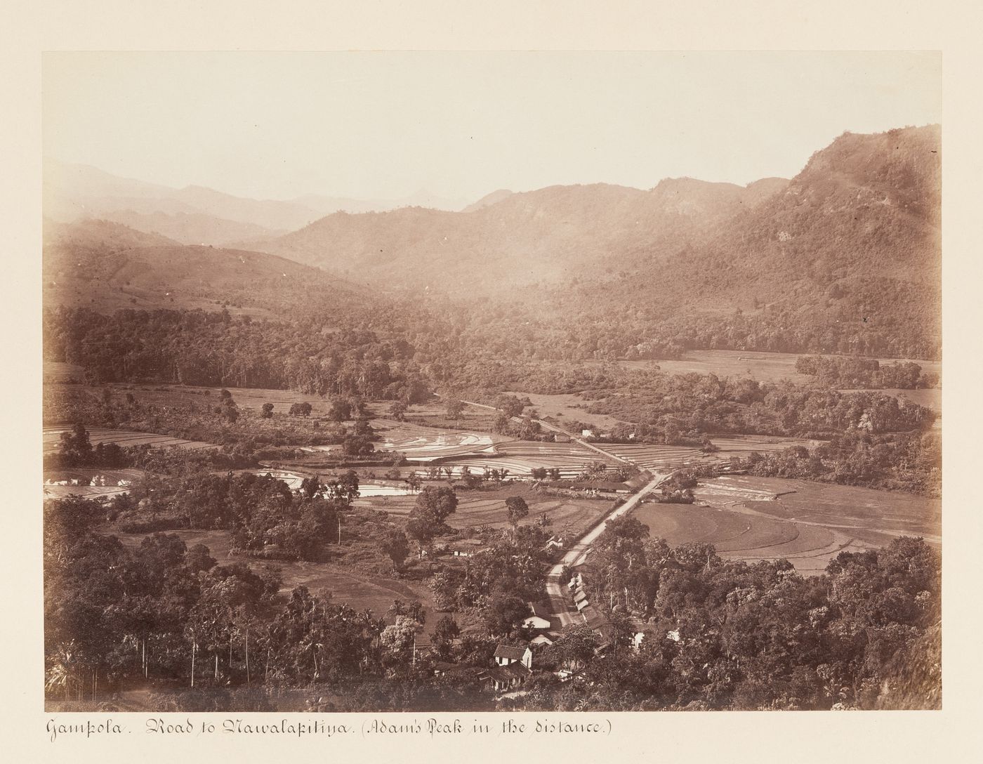 Partial view of Gampola showing agricultural land with mountains, including Adam's Peak, in the background, Ceylon (now Sri Lanka)