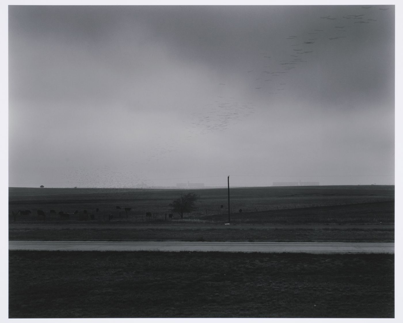 Landscape with birds flying - near Fort Worth, Texas 1978