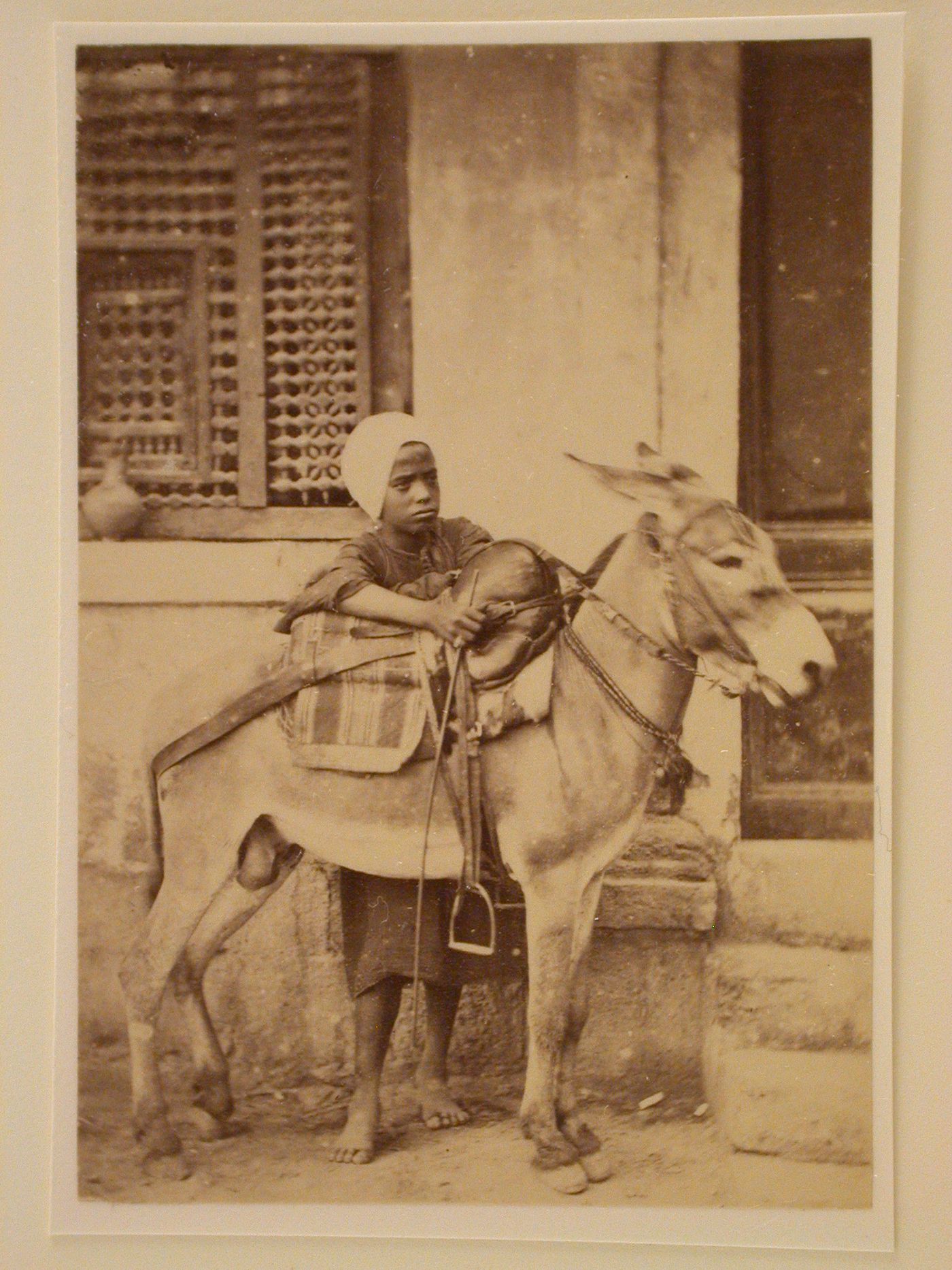 Young Egyptian boy with donkey