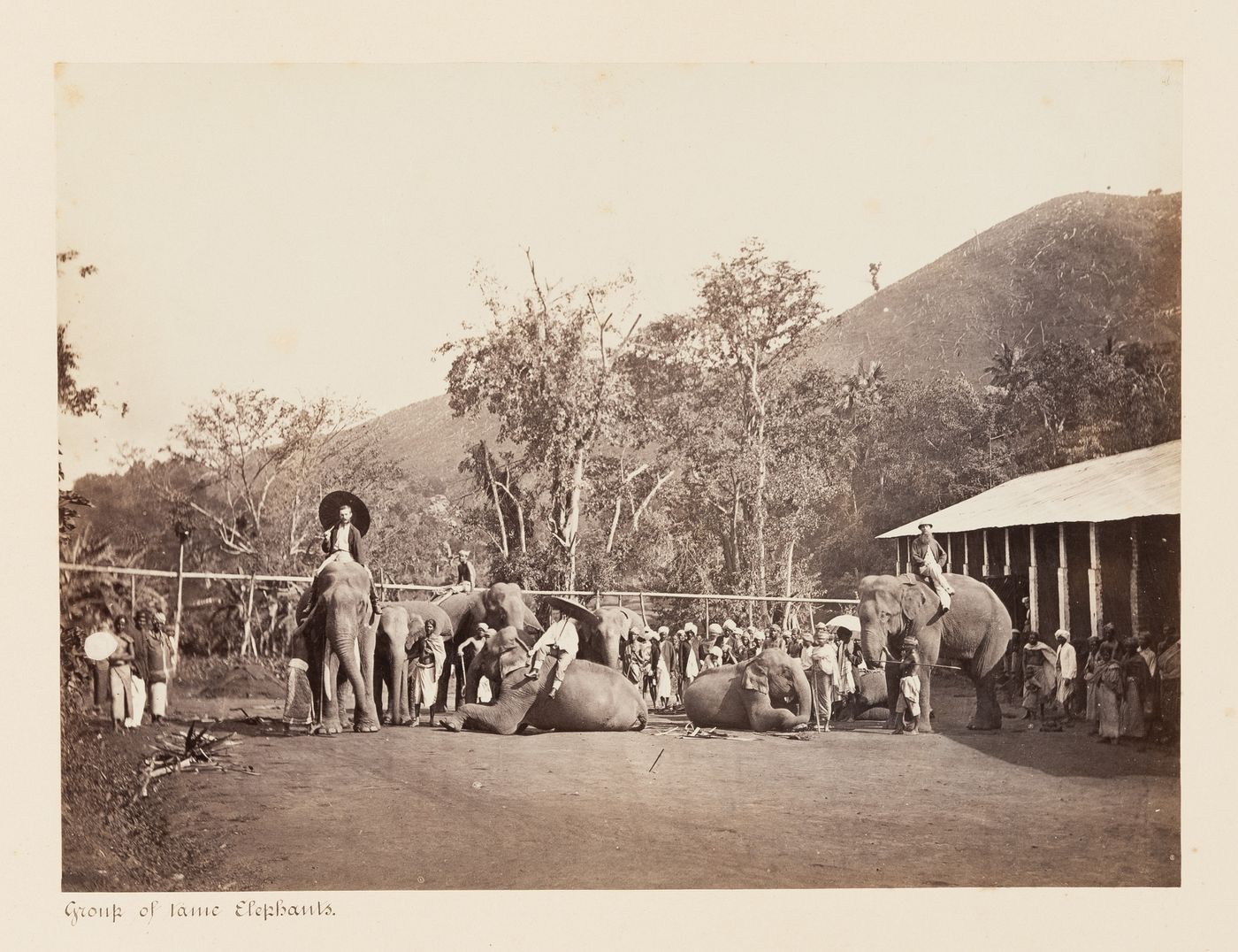 View of people and a herd of elephants on a road, Ceylon (now Sri Lanka)