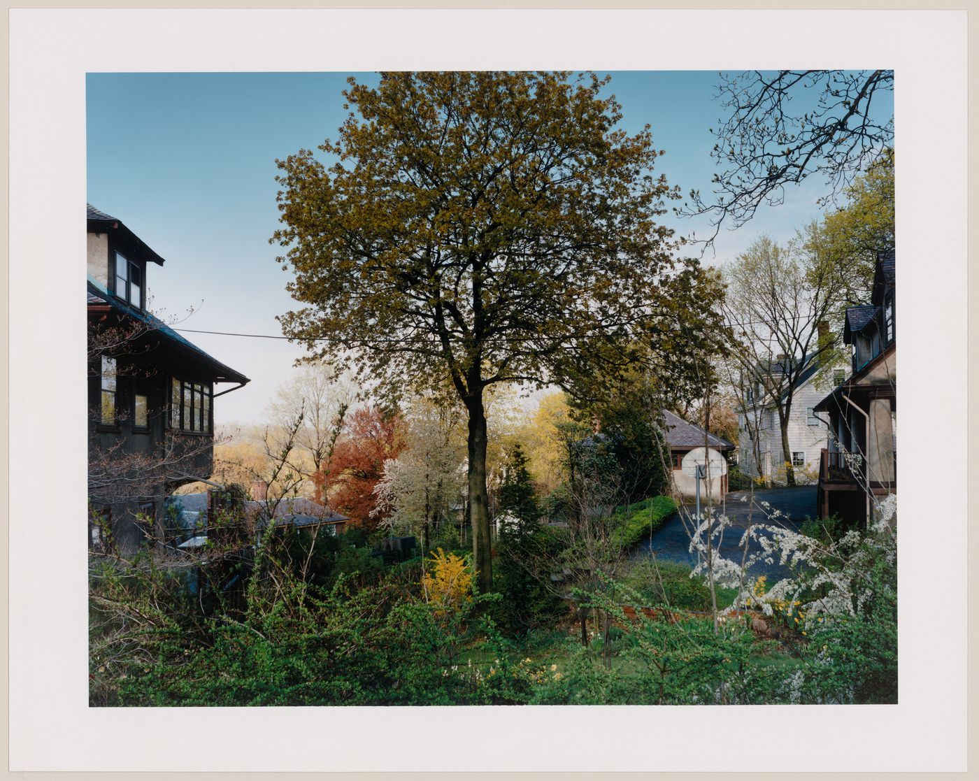 Viewing Olmsted: View of back gardens, Godard Subdivision, Fisher Hill, Brooklyn, New York