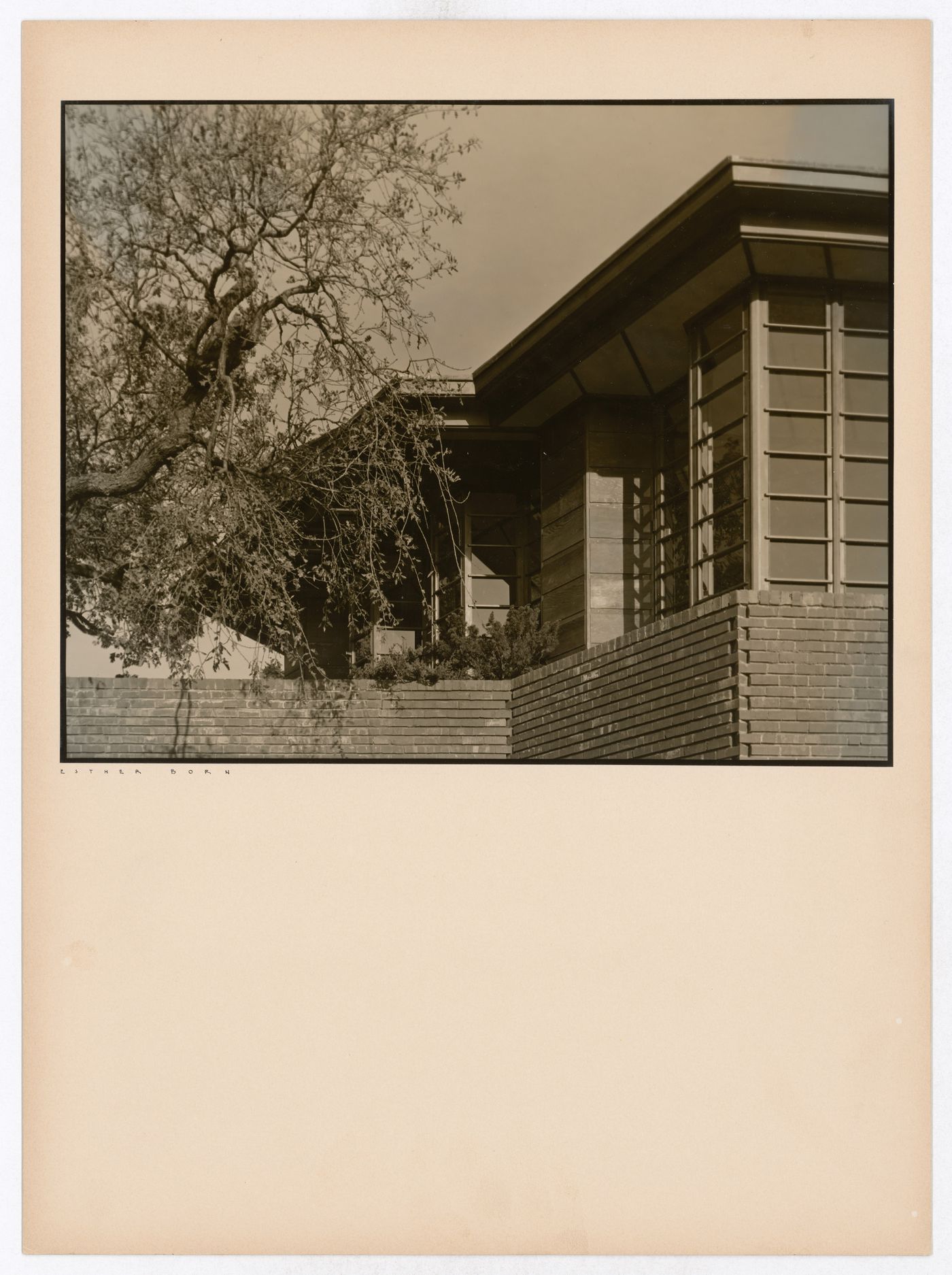 Partial view of the Hanna House showing windows, overhangs and a tree, Palo Alto, California, United States