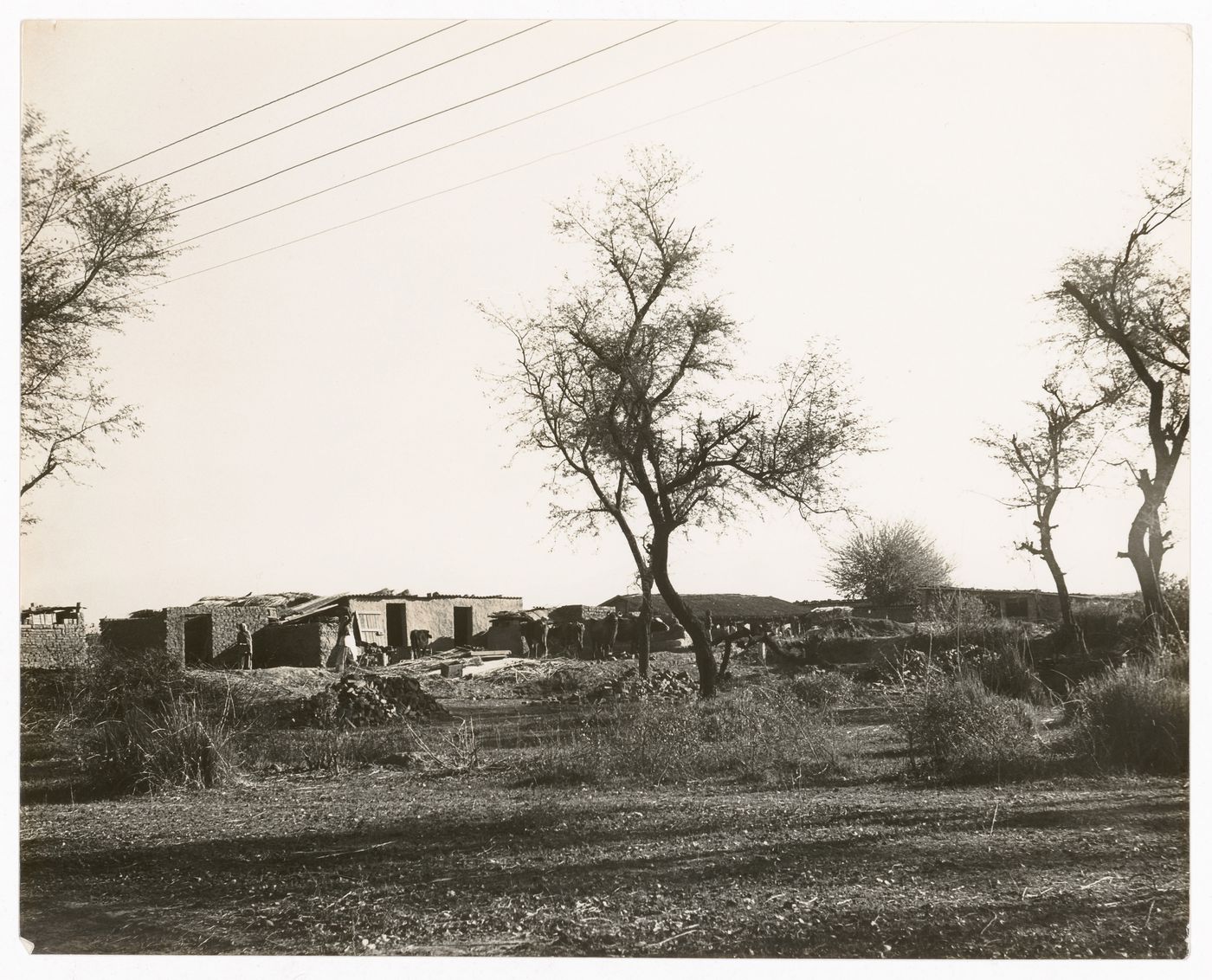 Photograph of Indian village likely near Chandigarh, India