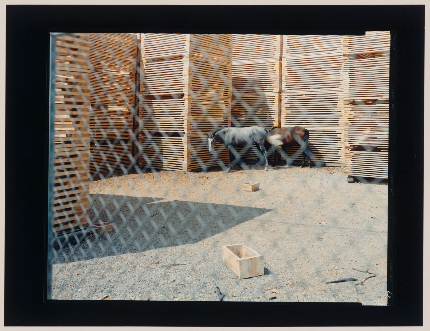 View through a chain link fence of two horses surrounded by stacks of wooden construction palettes, Spain (from the series "In between cities")