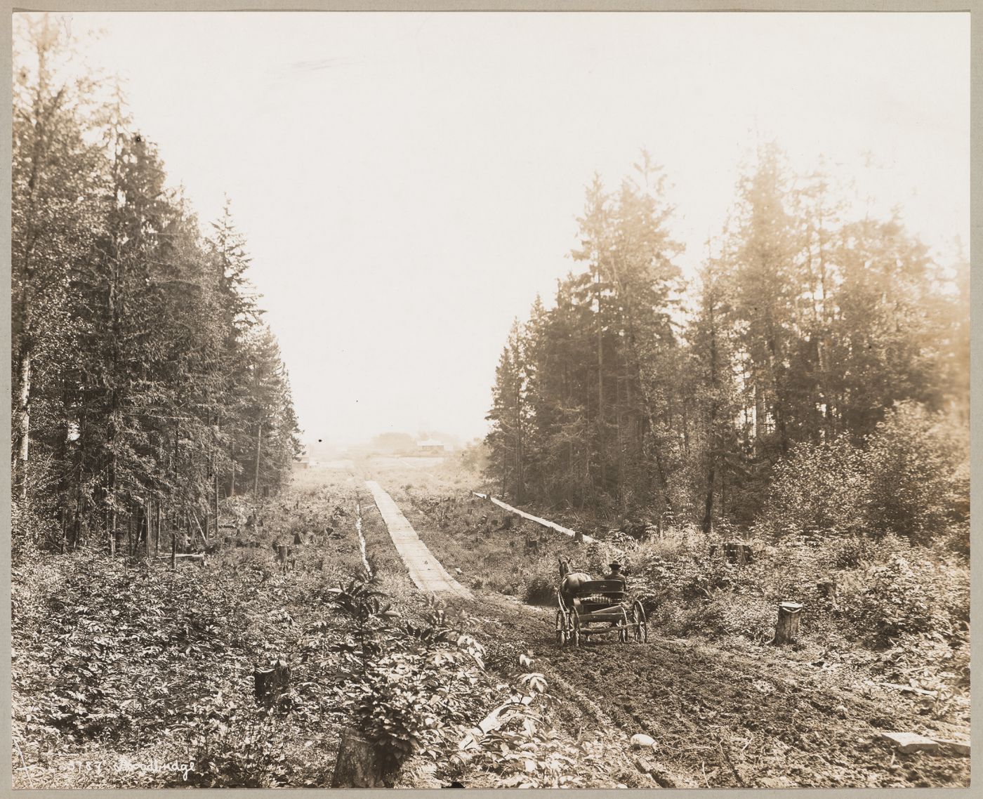 View of Langan Avenue looking east over land designated for the development of the First Division, the business center of Coquitlam (now Port Coquitlam), British Columbia