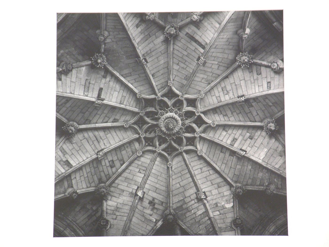 Ceiling of the Presentation Chapel in the Cathedral of Burgos, Spain