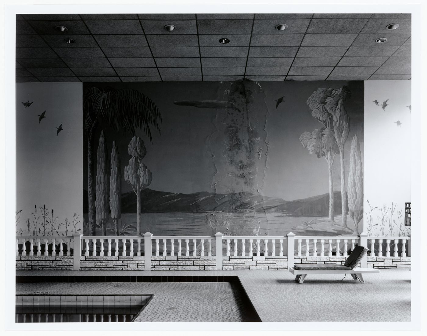 Swimming Pool (printed on mat): interior with swimming pool and mural of landscape with lake and mountains