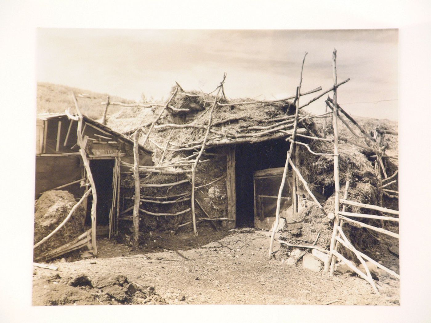 View of sod barn on William Huravitch's farm, Williams County, North Dakota, United States