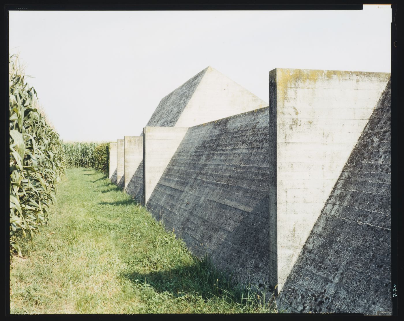 View of the perimeter wall, family tomb and corn stalks, Cimitero Brion, San Vito d'Altivole, near Asolo, Italy