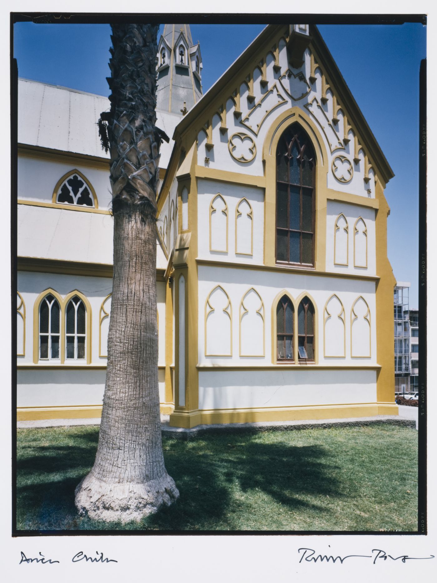 View of a transept of the Church of San Marcos with a tree trunk in the foreground, Plaza Colón, Arica, Chile