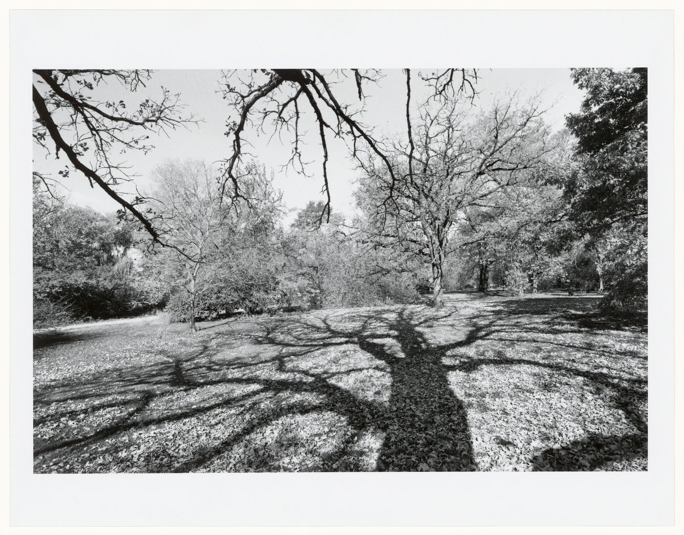 Jackson Park, Chicago, Illinois