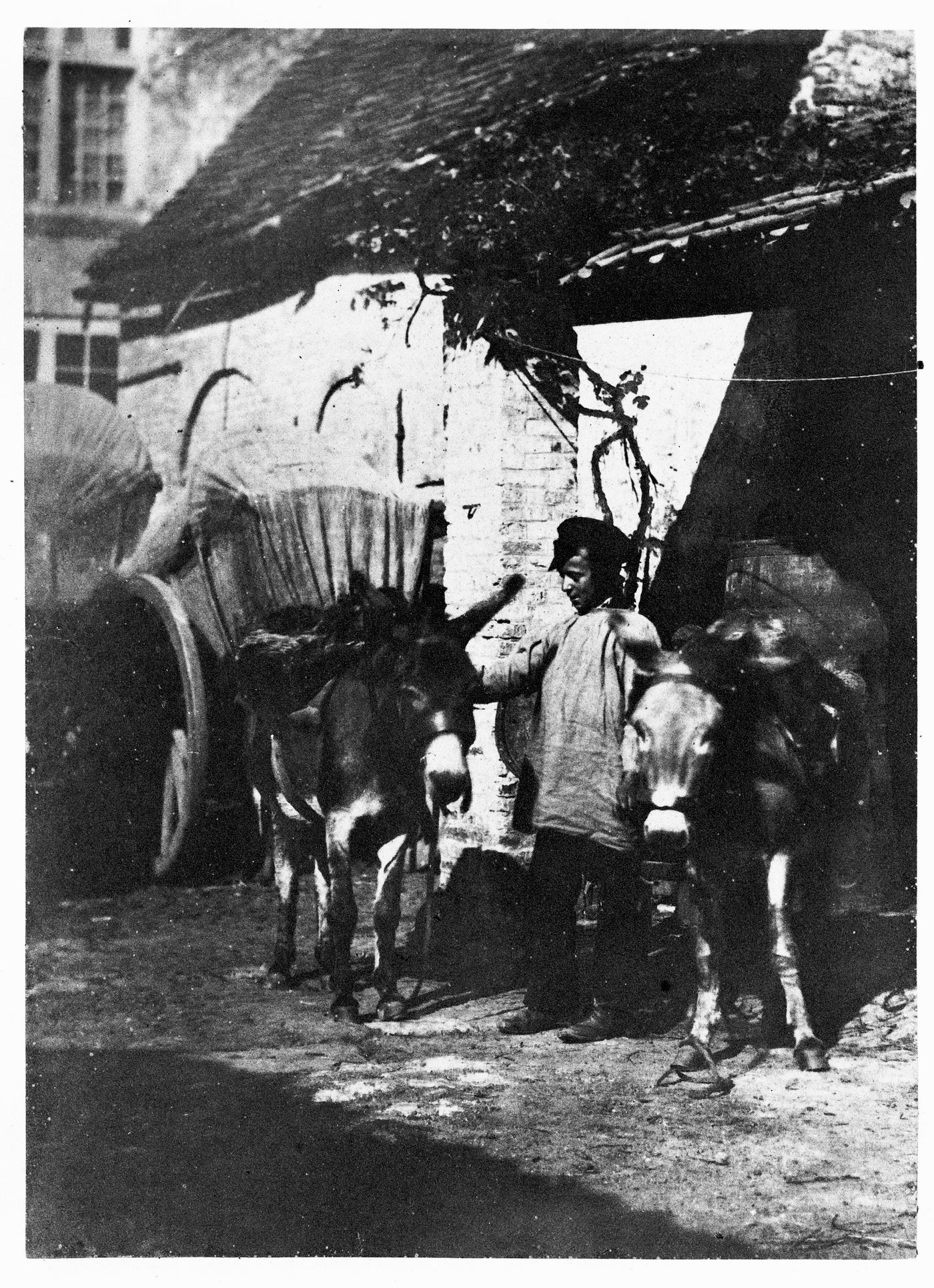 A boy with two donkeys in a courtyard of an inn, France