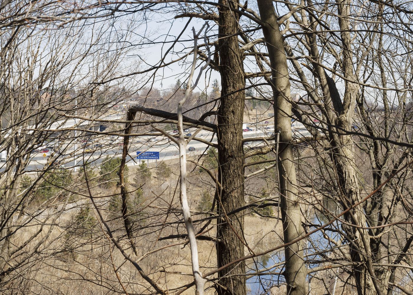 An Enduring Wilderness: Macdonald-Cartier Freeway, Rouge Park, Toronto