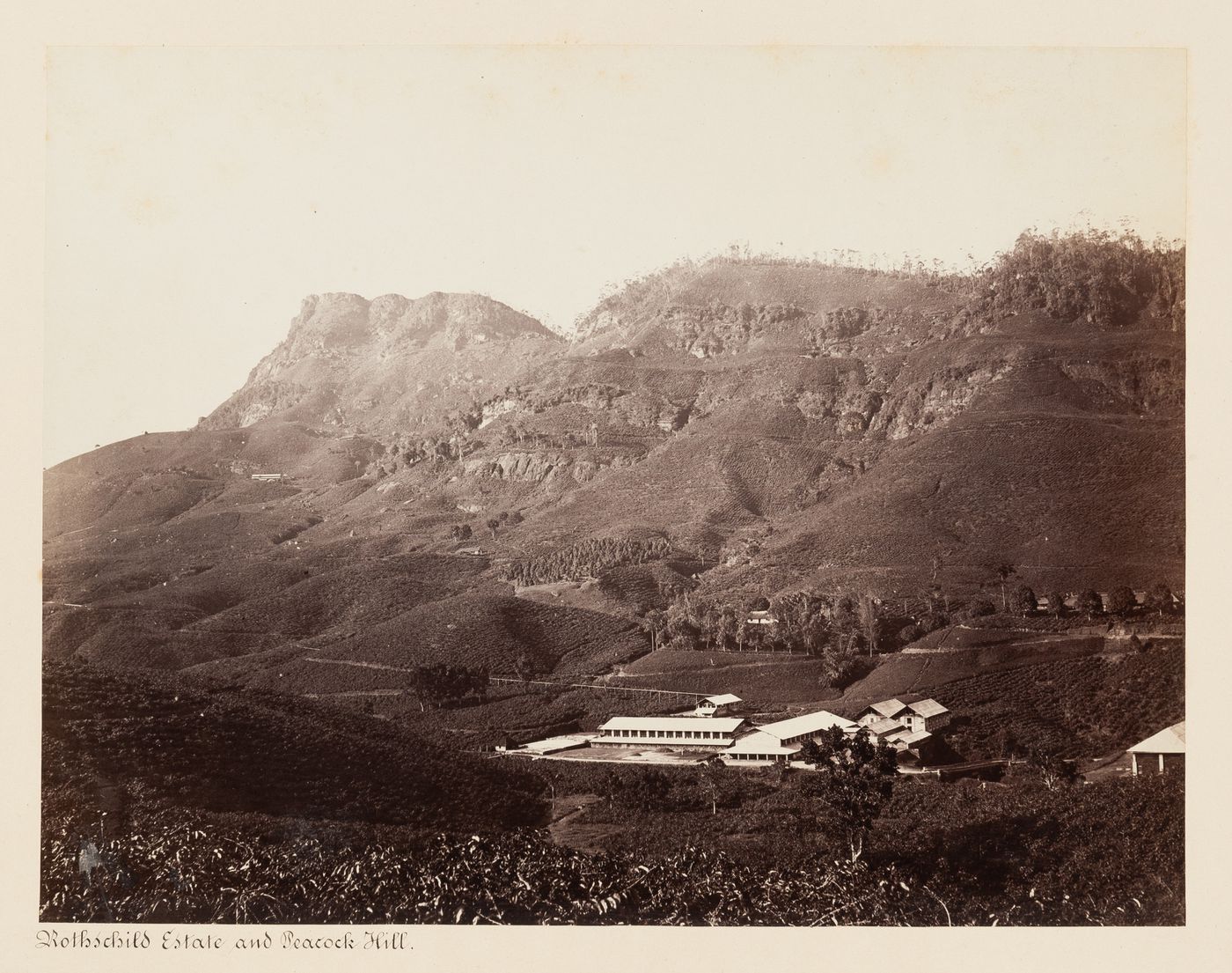 View of the Rothschild Estate and Peacock Hill, Ceylon (now Sri Lanka)