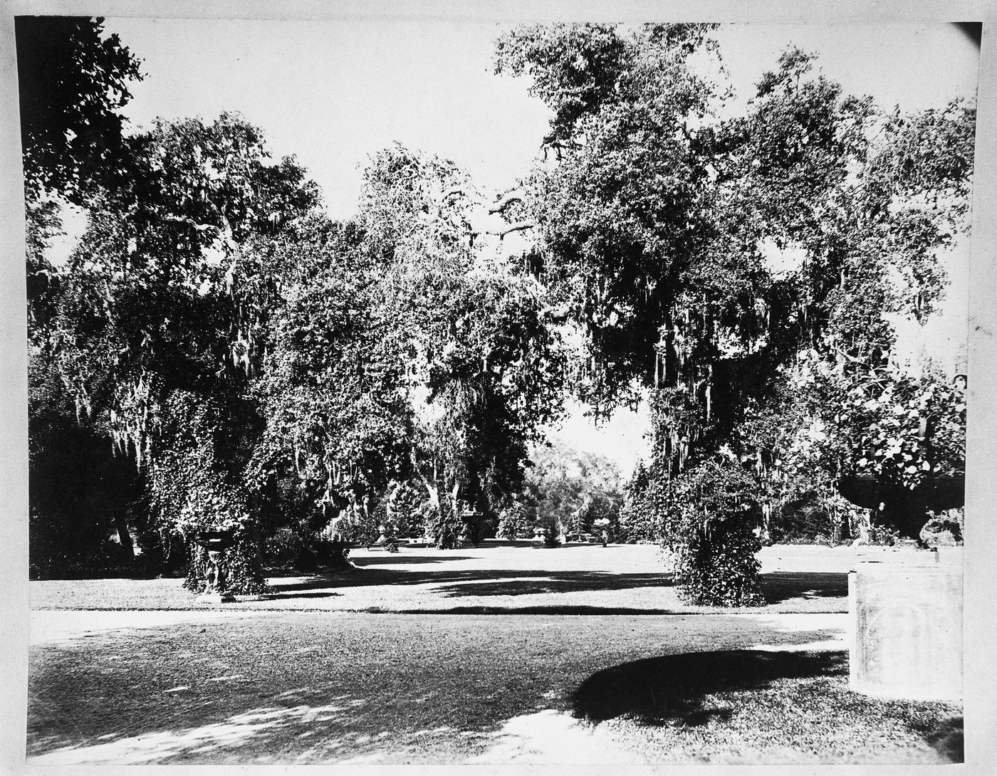 Lawn with trees, Linden Towers, James Clair Flood Estate, Atherton, California
