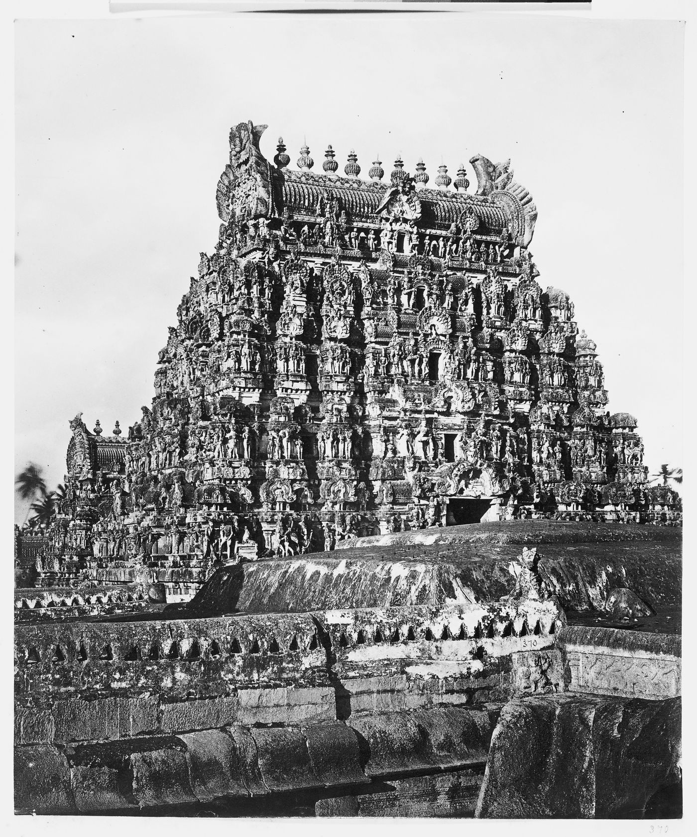 View of a gopura of Avadayar Koil) Temple, Tirupperunturai (now Thiruperunthurai), India