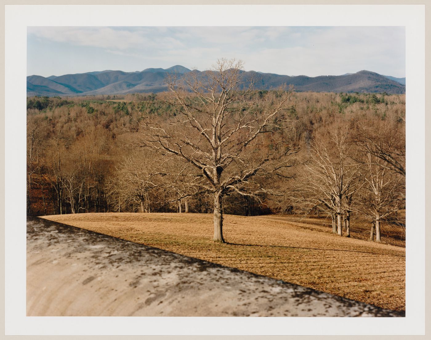 Viewing Olmsted: View from the terrace over the Deer Park, The Vanderbilt Estate, "Biltmore", Asheville, North Carolina