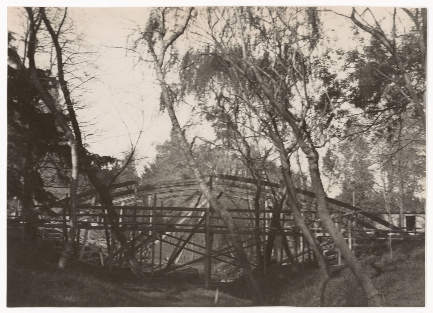 Photograph of wood structure for the construction of Casa sobre el arroyo, Mar del Plata, Argentina