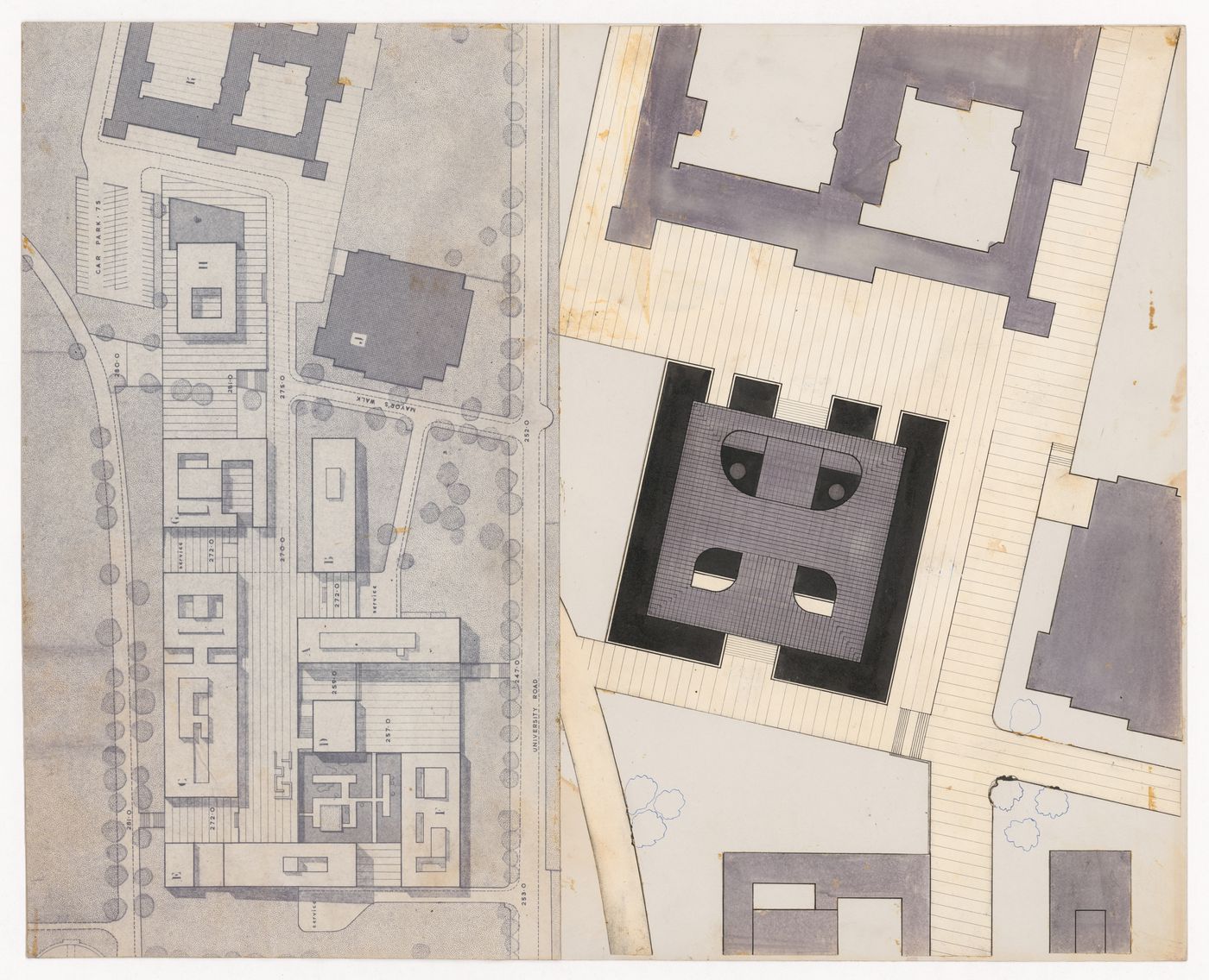 Site plan showing senate for The Shape of Cambridge: A Plan, Cambridge University, England