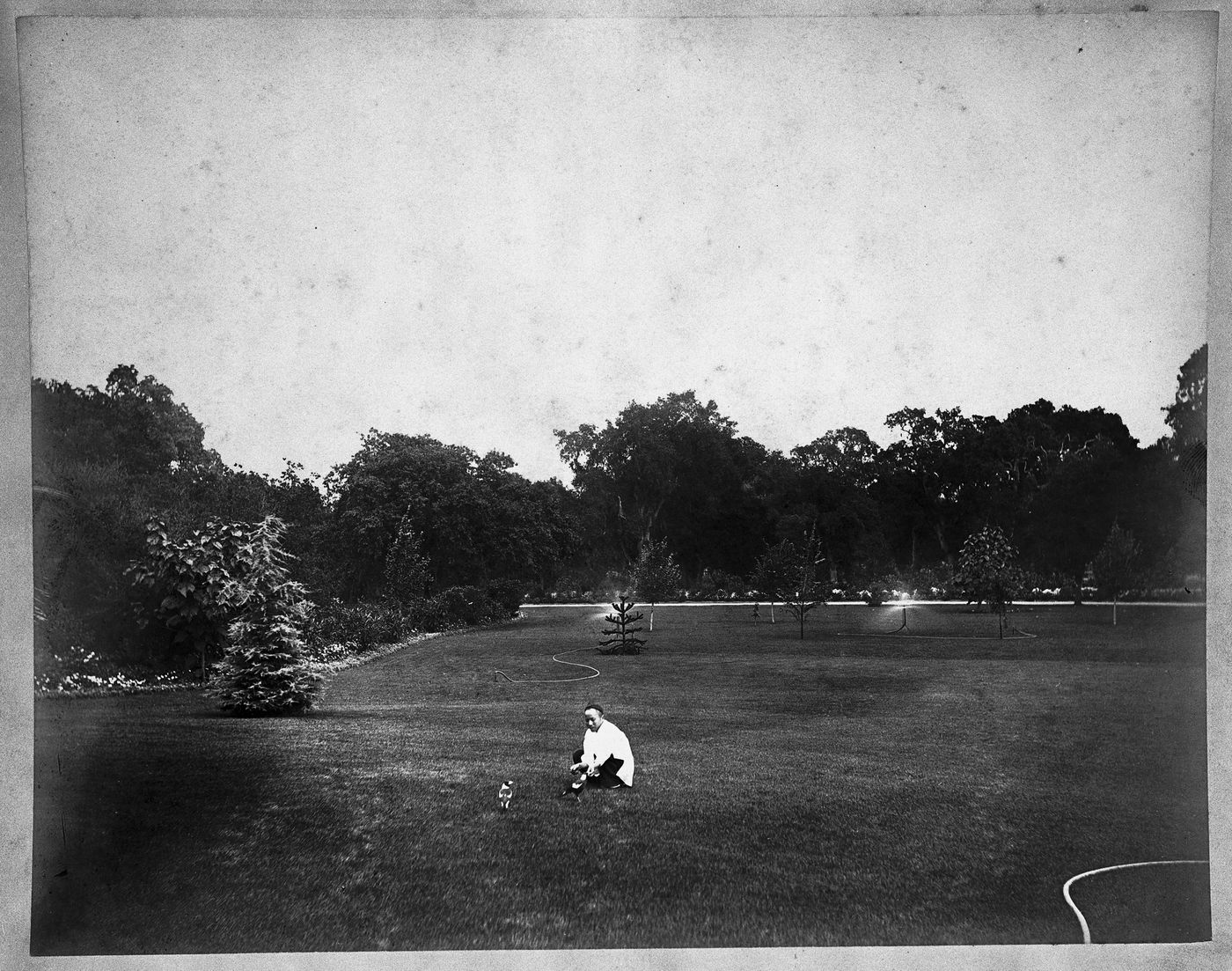 View of lawn with houseman and bird, Linden Towers, James Clair Flood Estate, California