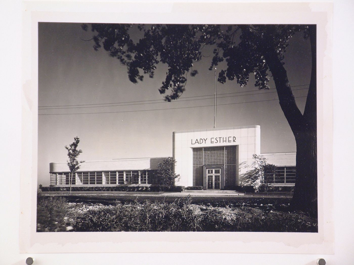 View of the principal façade of the Administration Building, Lady Esther Company, Chicago, Illinois