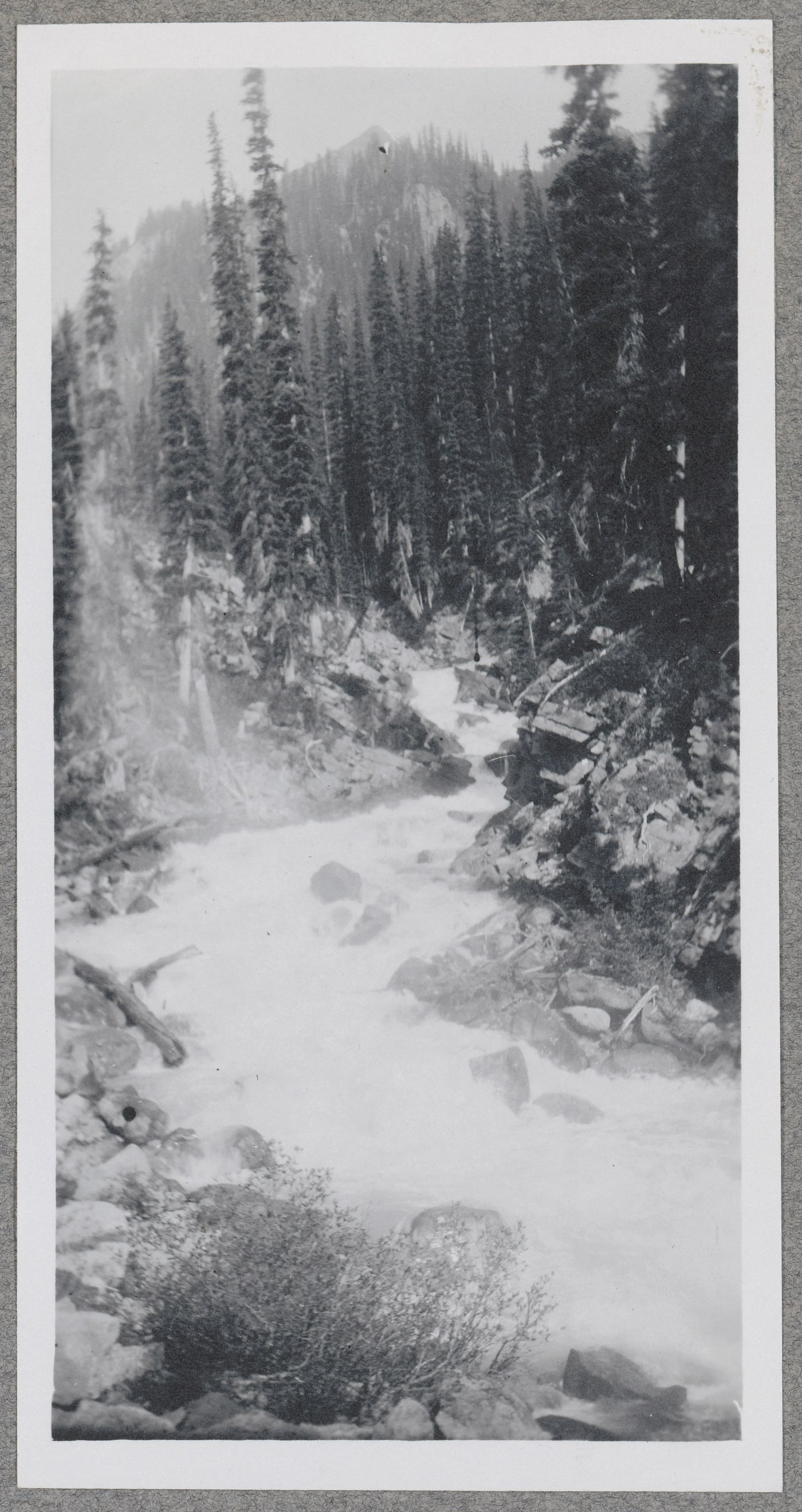 View of Little Yoho River, Yoho National Park, Yoho Valley, British Columbia