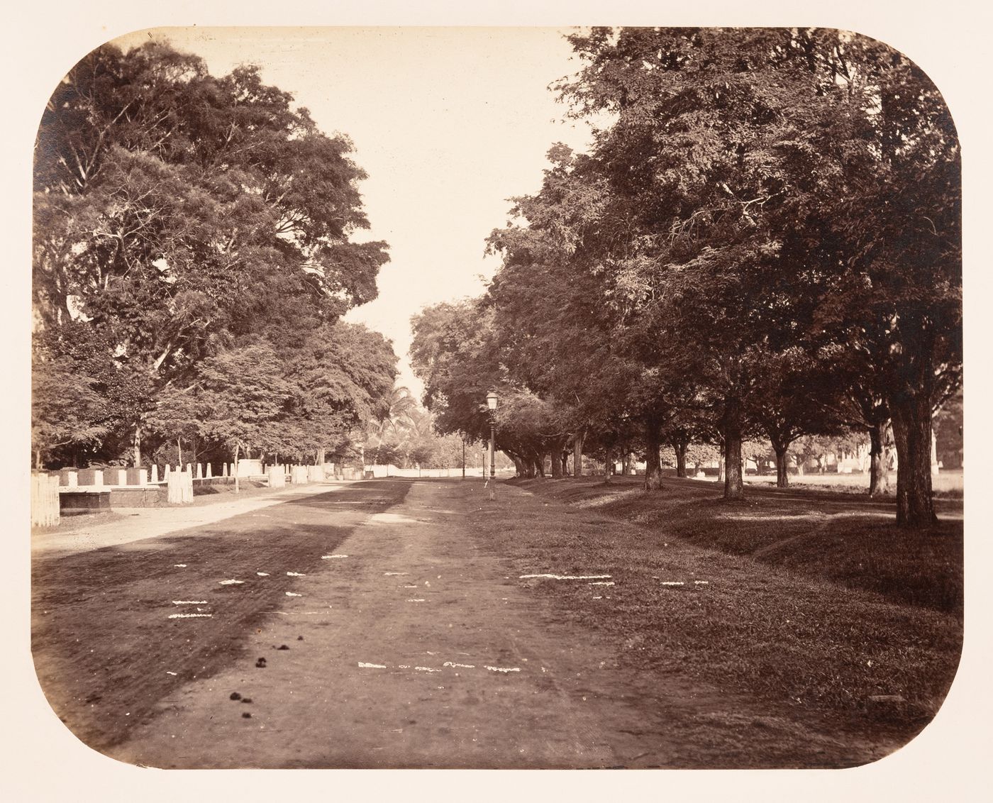 View of an avenue next to Konigsplein (now Medan Merdeka), Batavia (now Jakarta), Dutch East Indies (now Indonesia)