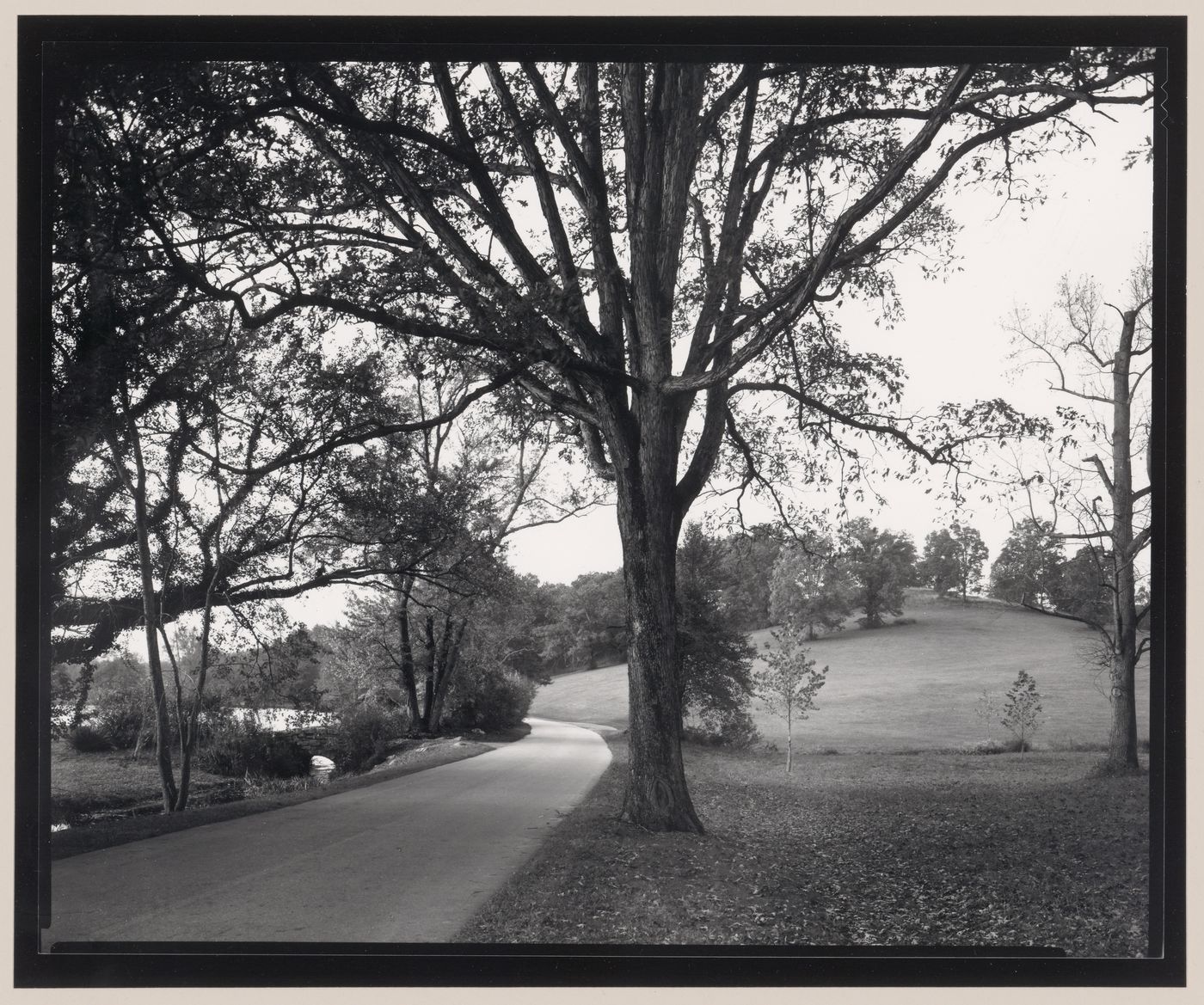 Road in Deer Park, the Vanderbilt Estate, "Biltmore", Asheville, North Carolina