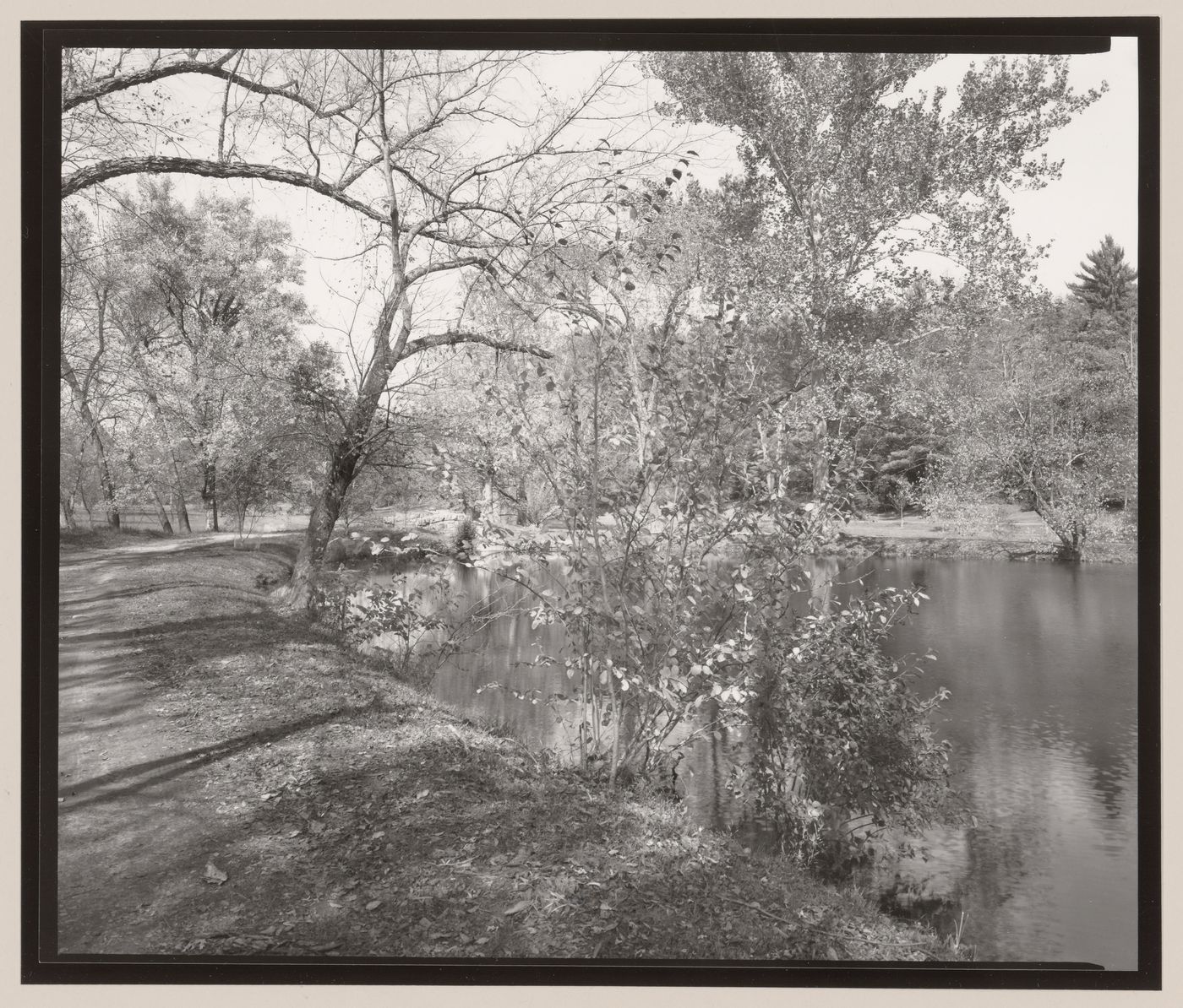 Lake with Bridge, Deer Park, the Vanderbilt Estate, "Biltmore", Asheville, North Carolina