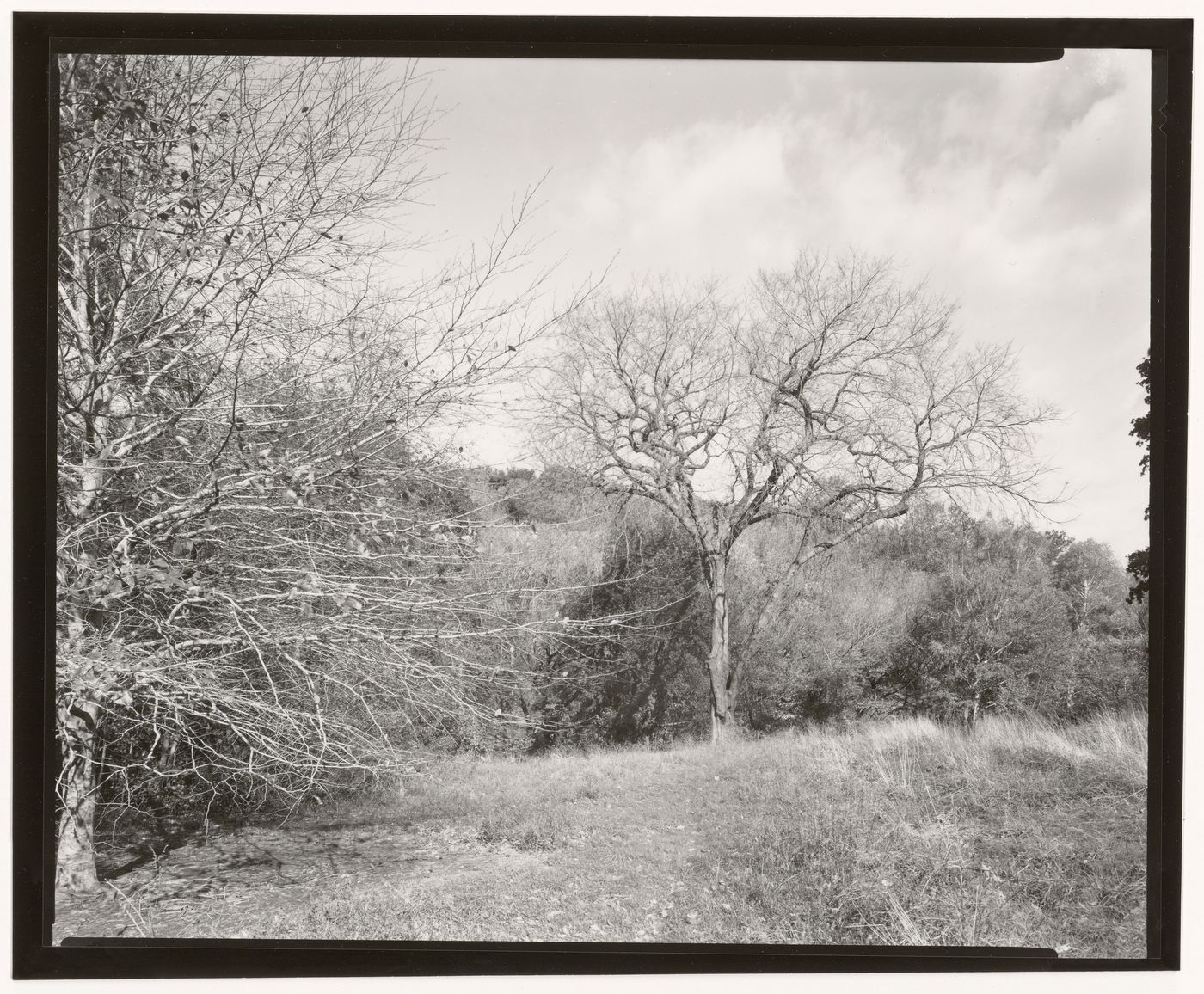 The Ravine, Central Park, New York City, New York