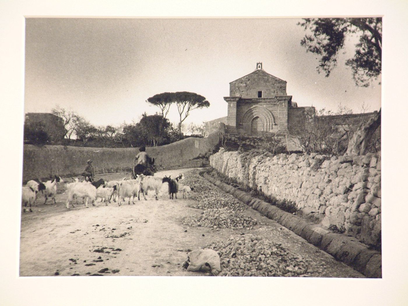 View of goats and goatherds on stone wall-bordered road, with small romanesque church in background, Italy ?
