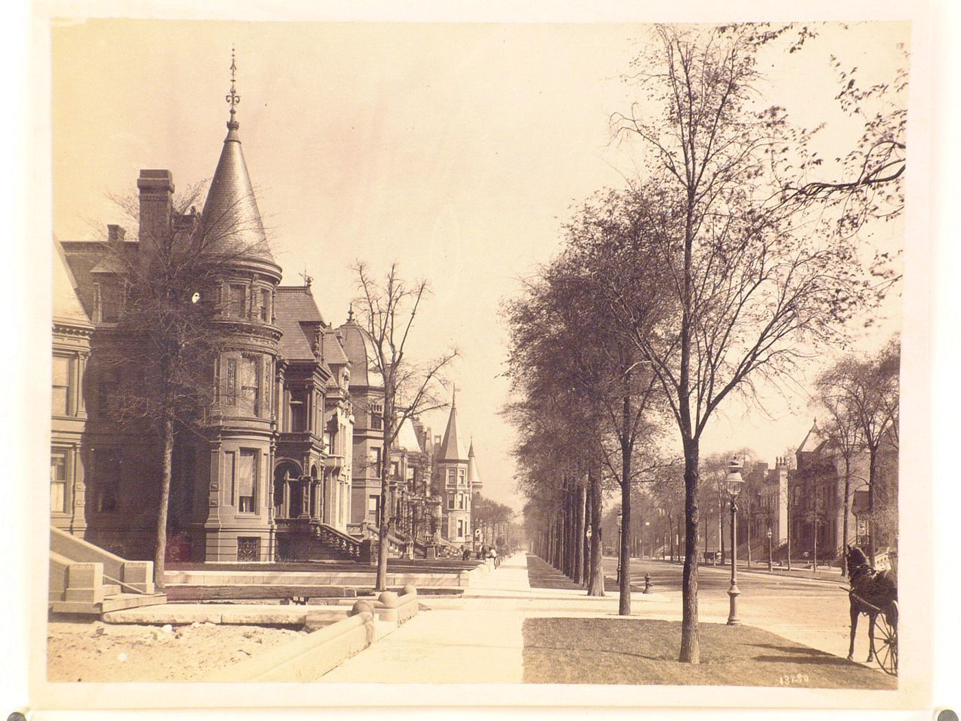 Tree-lined street with residential houses, Chicago, Illinois