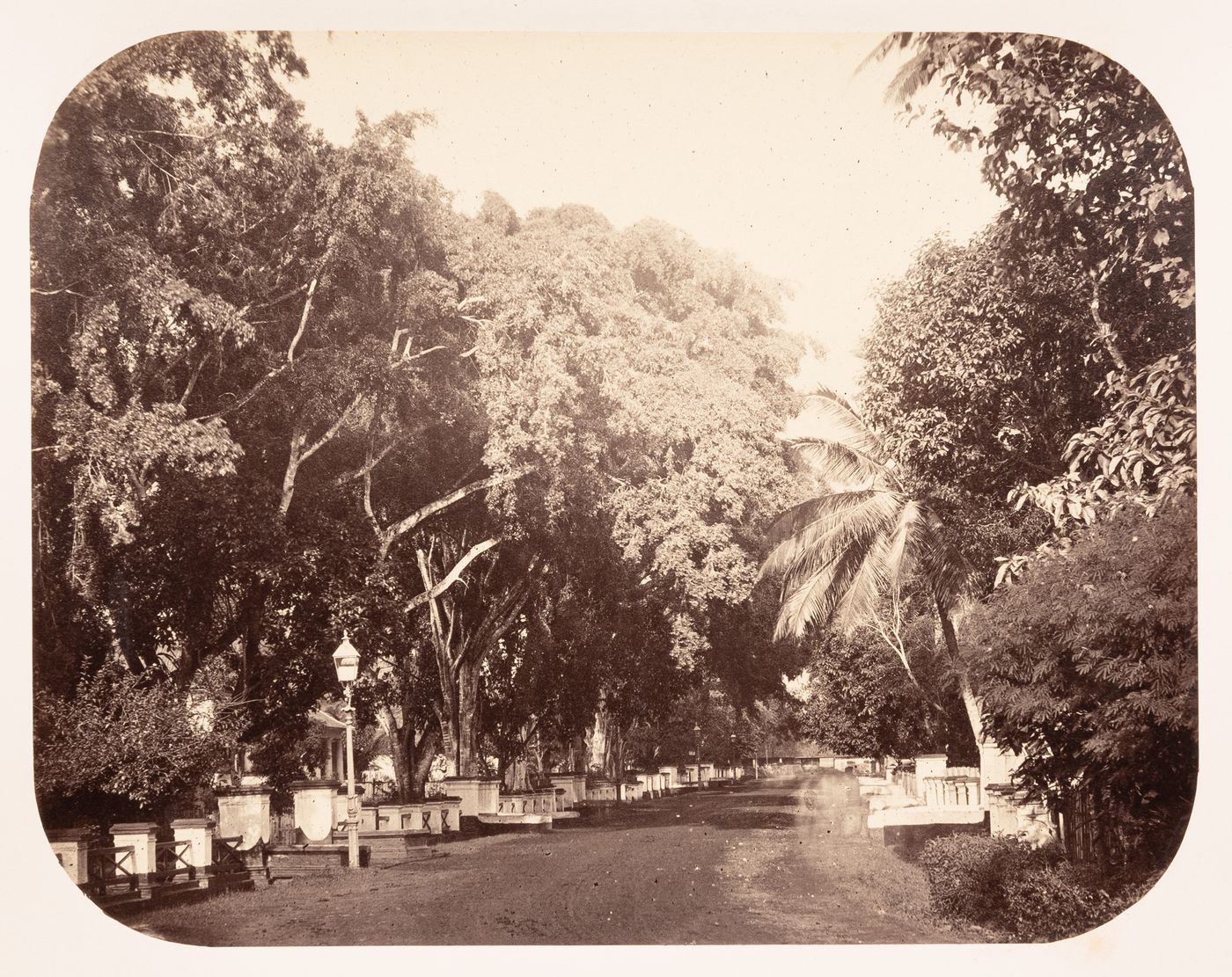 View of Gang Scott street (now Jalan Budi Kemuliaan), Batavia (now Jakarta), Dutch East Indies (now Indonesia)