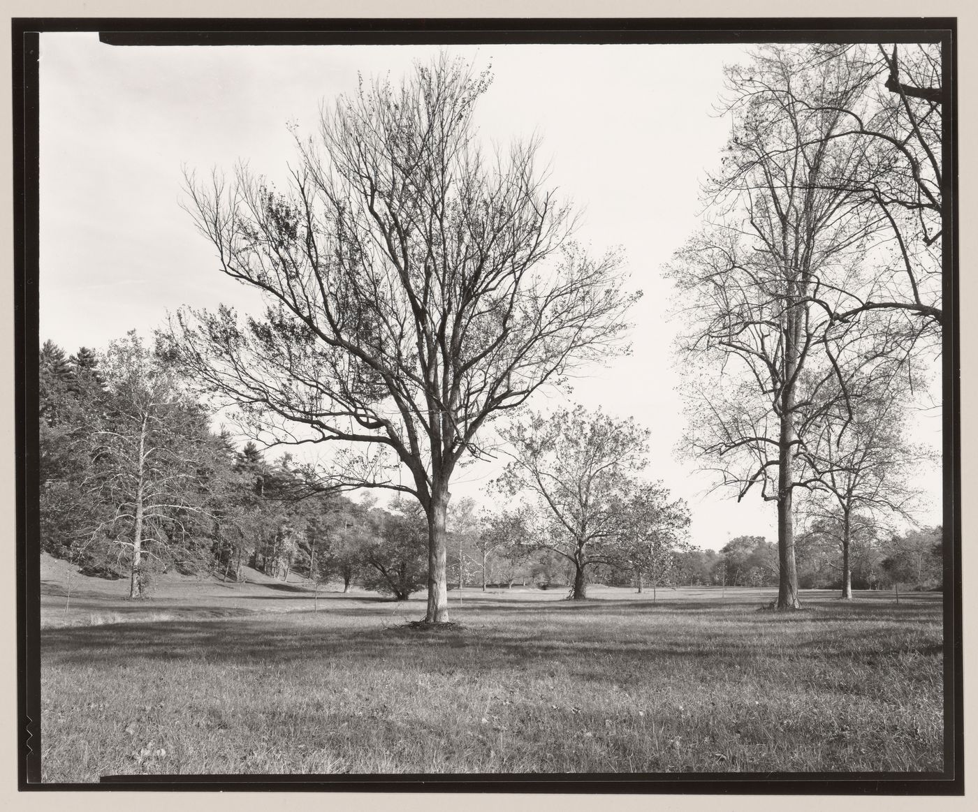 Deer Park, the Vanderbilt Estate, "Biltmore", Asheville, North Carolina