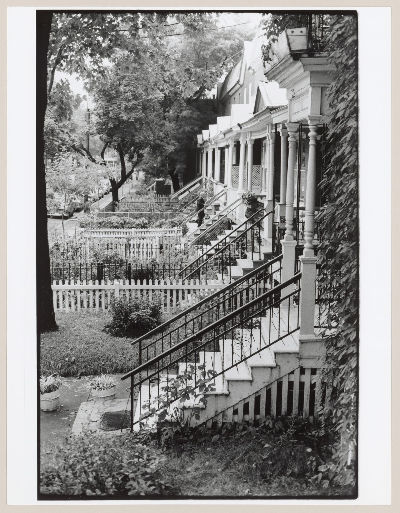 View of the stairs and gardens of row houses, Waverly Street, Montréal, Québec, Canada, Canada