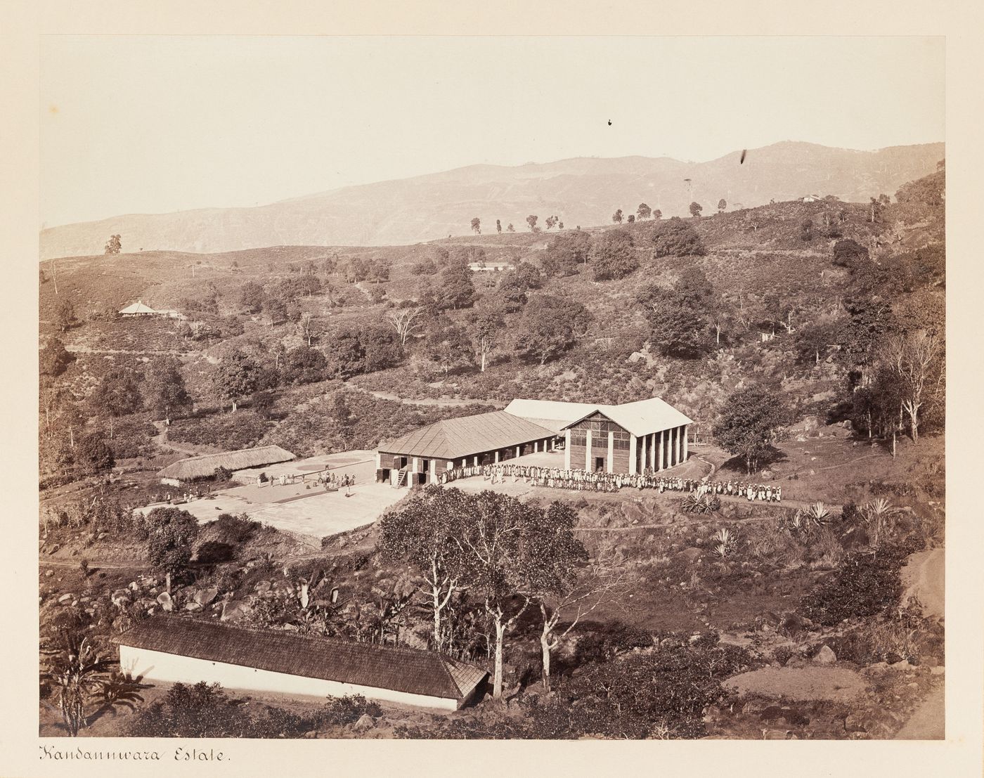 View of Kandanuwara Estate, Elkaduwa, Ceylon (now Sri Lanka)