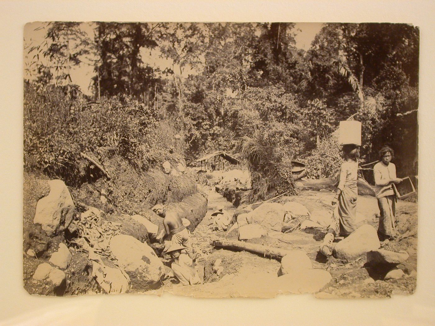 View of six people working in a trench surrounded by rocks, bush and trees
