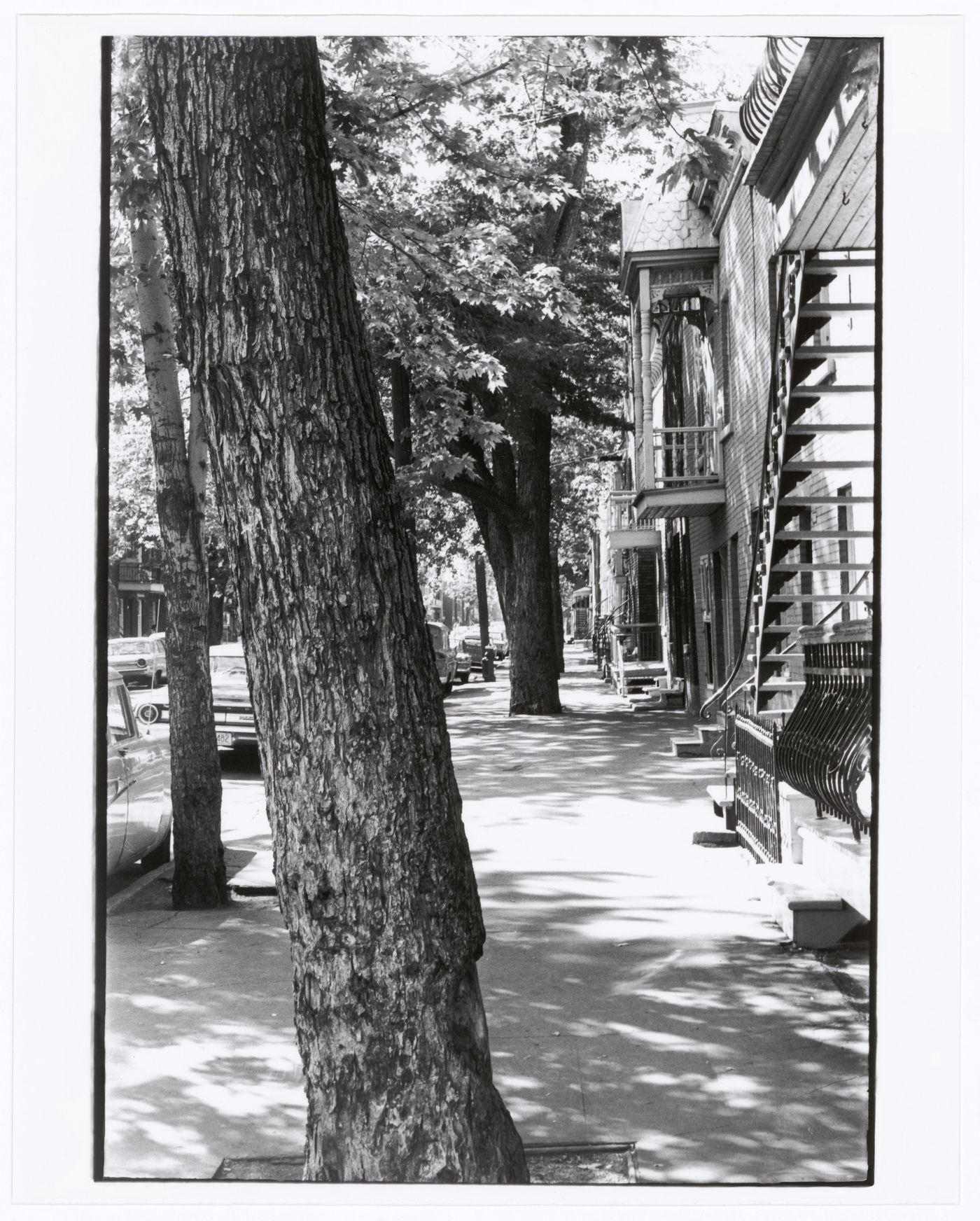 View of  a street, La Petite Patrie, Montréal, Québec, Canada