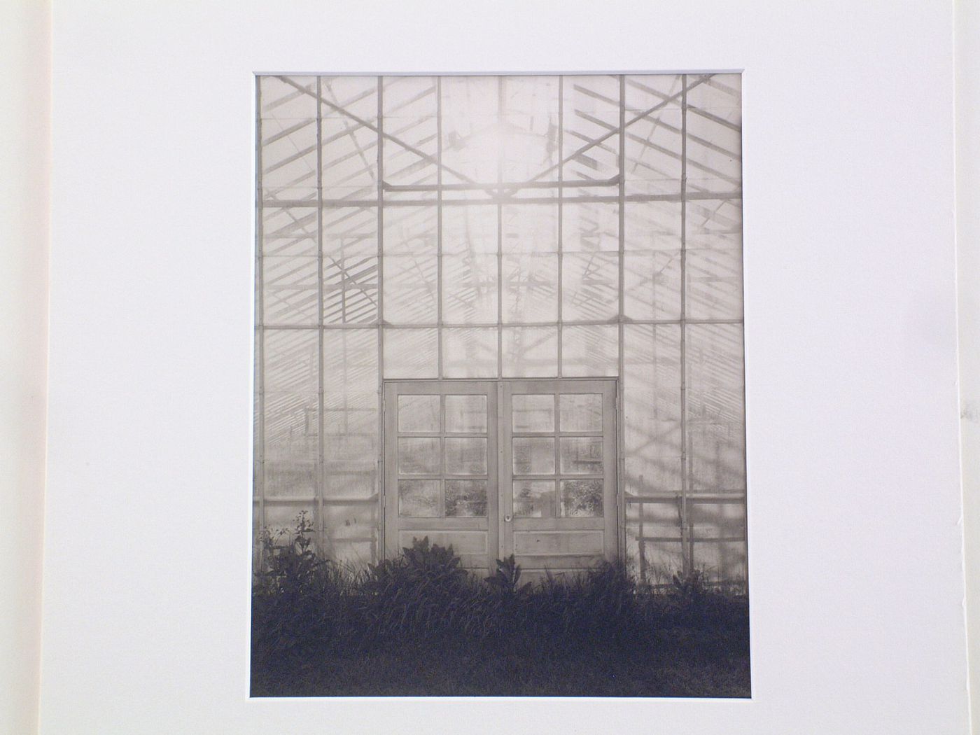 Exterior view of wall and entrance doors of large greenhouse, series 1980