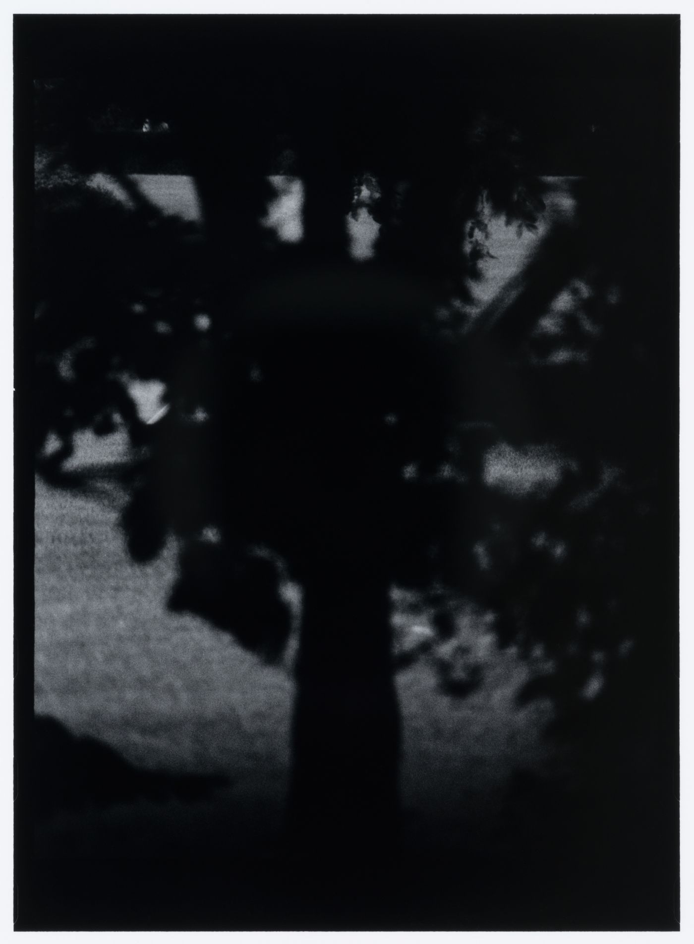 View of the lawn of the White House showing a tree in shadow, Washington D.C., United States, from the series "Empire"