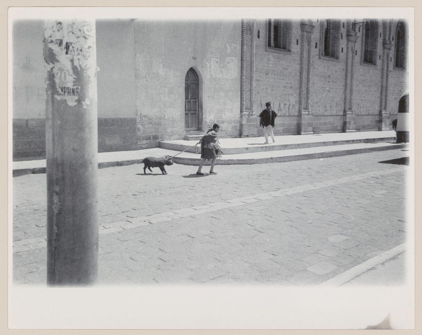 Woman with pig on leash, South America
