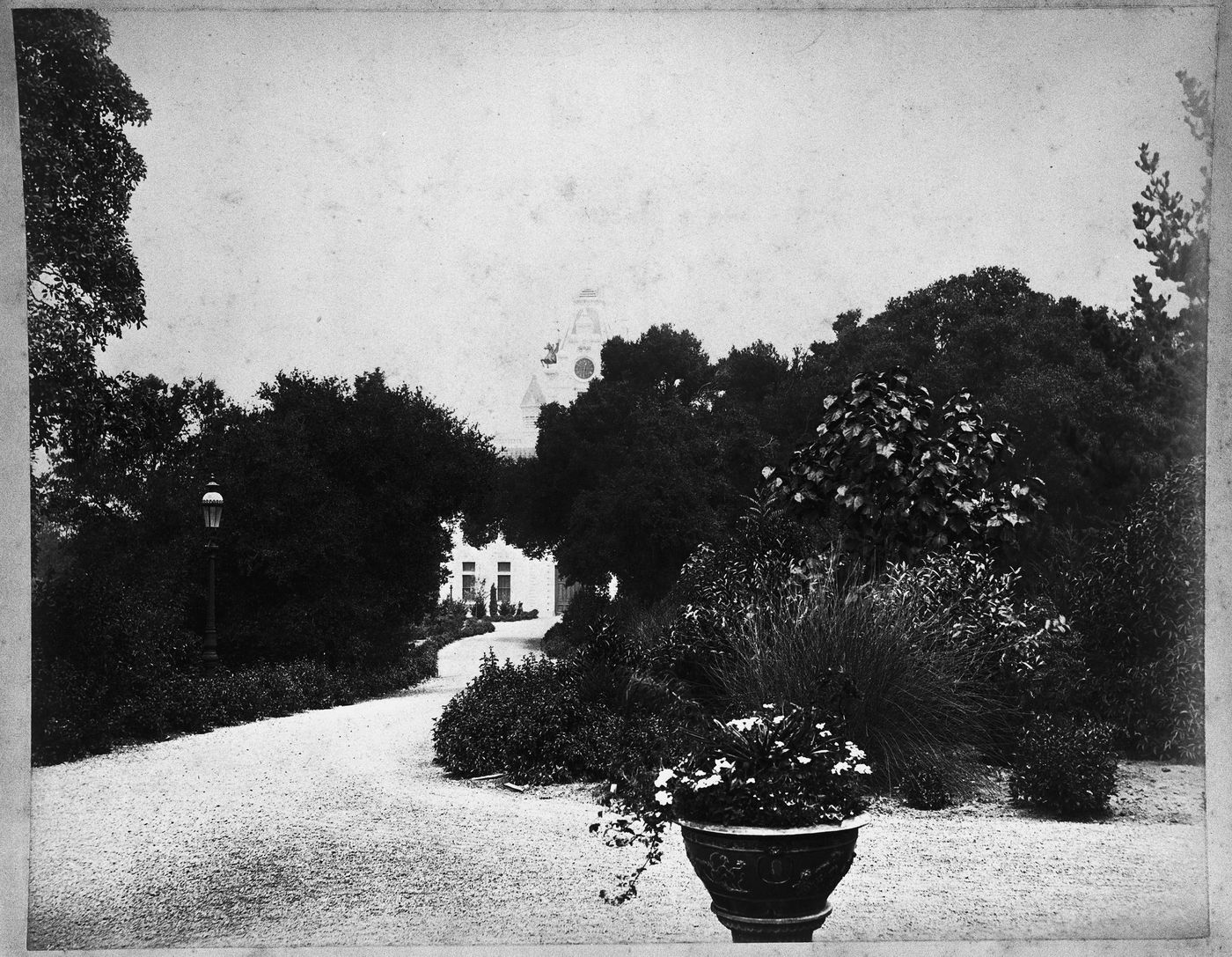 Looking down driveway towards carriage house [?], Linden Towers, James Clair Flood Estate, Atherton, California