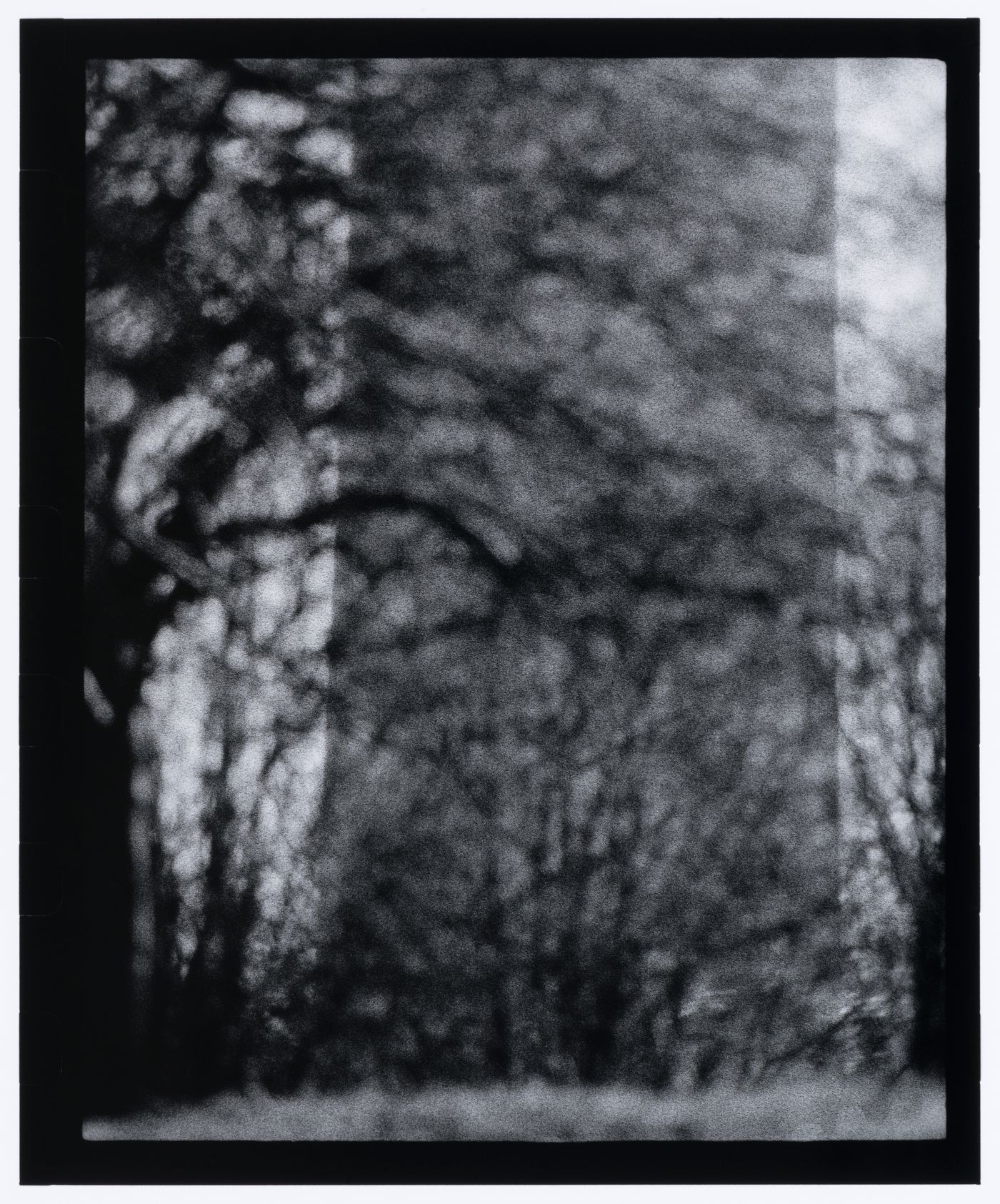 Partial view of the Washington Monument showing trees in the foreground, Washington D.C., United States, from the series "Empire"