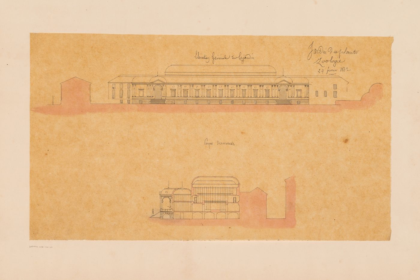 Project for a Galerie de zoologie, 1862: Principal elevation and cross section