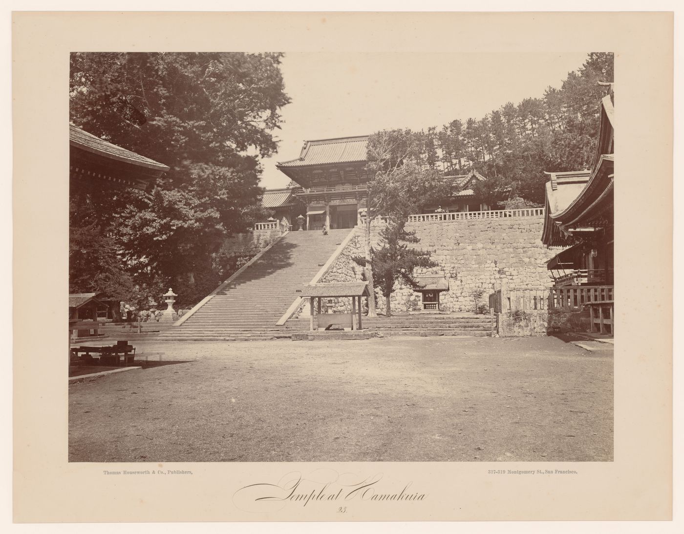 Partial view of the Tsurugaoka Hachimanguji Temple (now the Tsurugaoka Hachimangu Shrine) showing a ginkgo tree, the Tower Gate, stairs and a stone wall, Kamakura, Japan