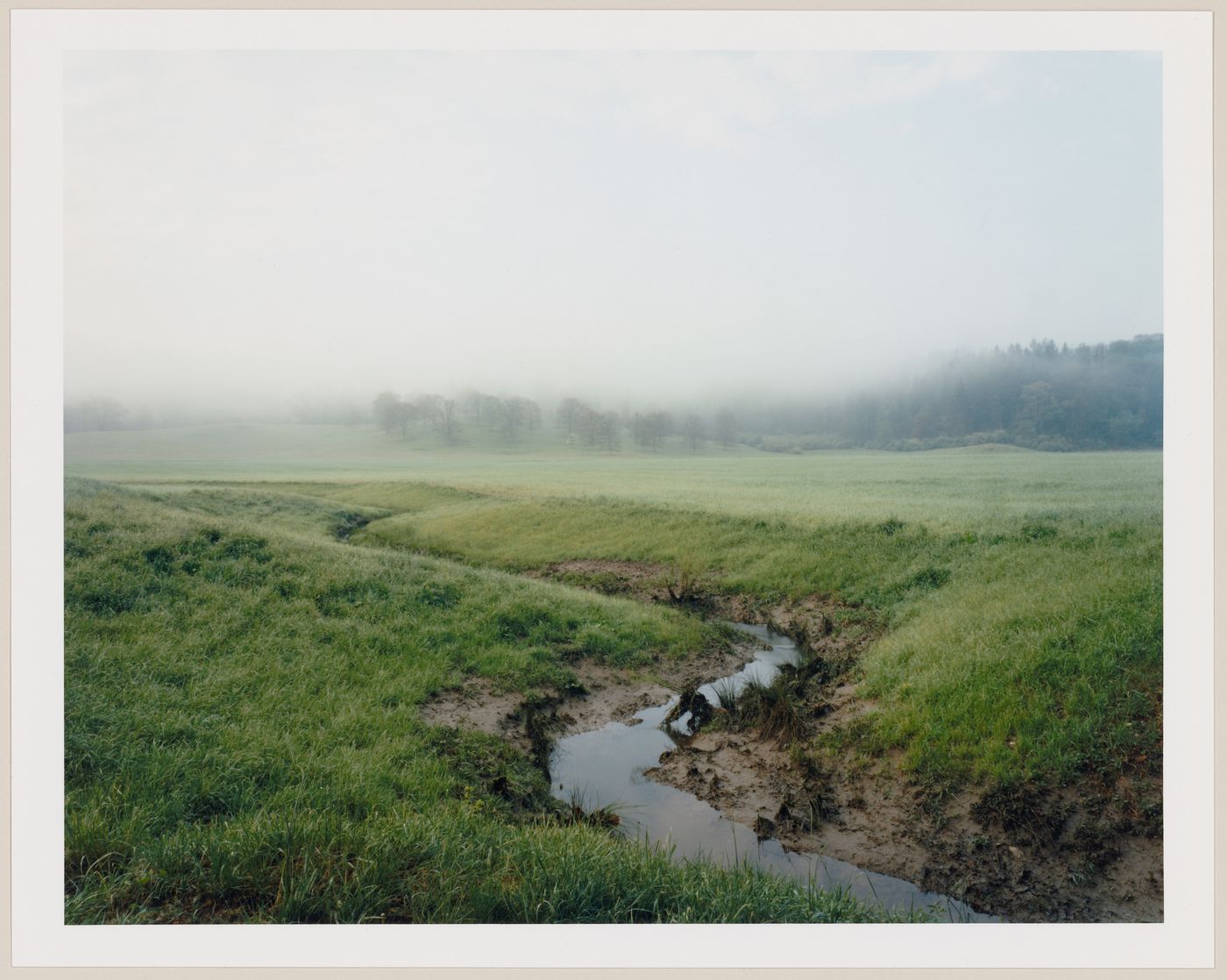 Viewing Olmsted: View of The Crossways, Vanderbilt Estate, "Biltmore", Asheville, North Carolina