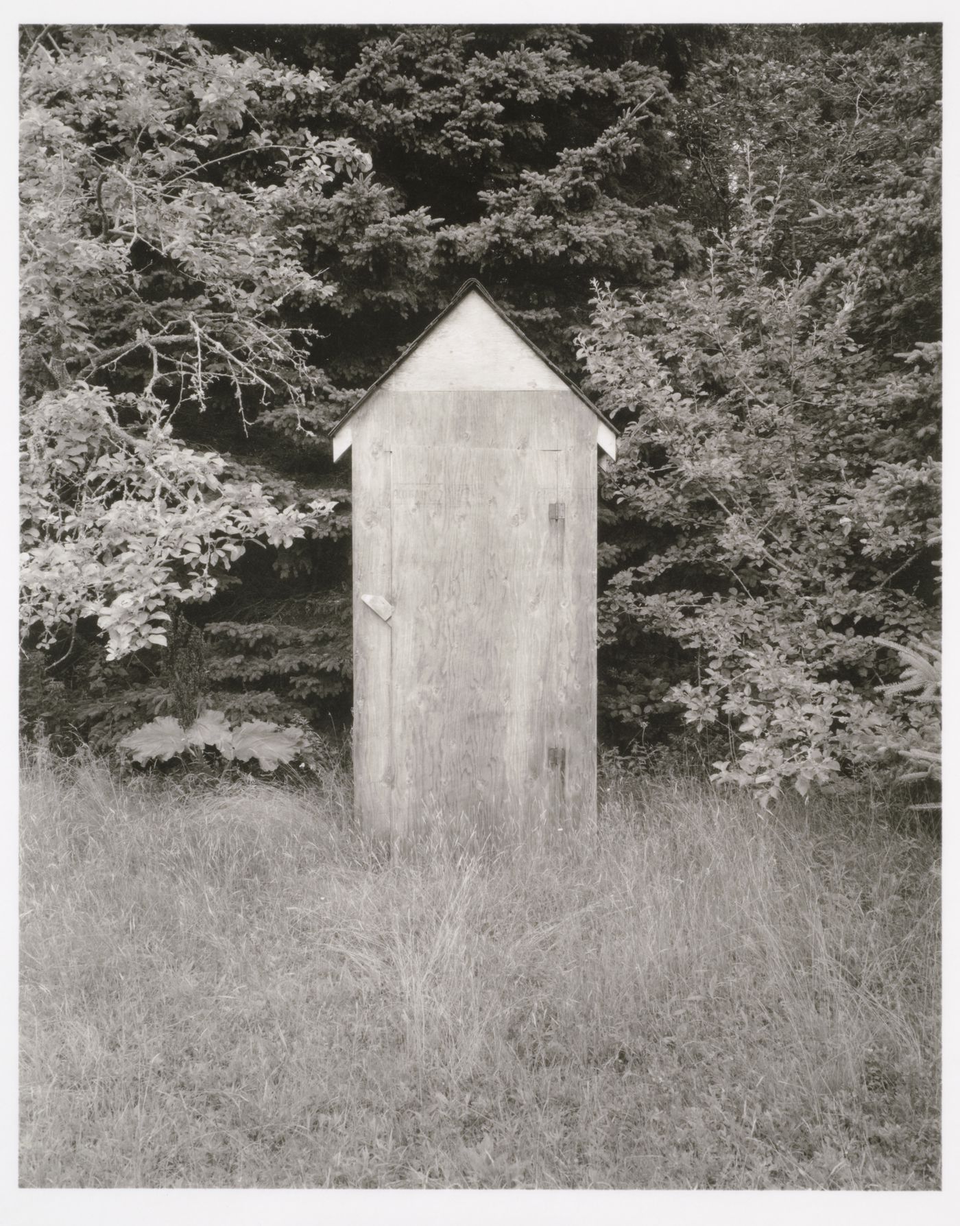 Shed on Friendship Island, Maine