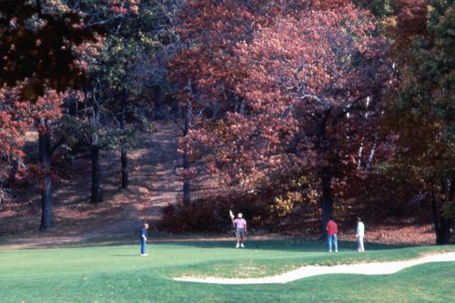 Slide showing people golfing for Olmsted: L'origine del parco urbano e del parco naturale contemporaneo